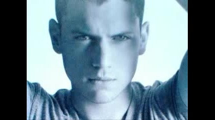 Wentworth Miller - The Perfect Man