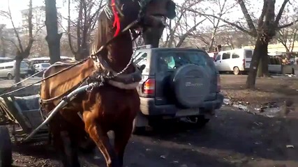ku4ek kon 2012 pleven - Youtube