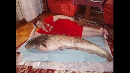 Най добрата компилация от смешни къртинки зети от нета 2013
