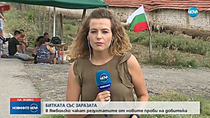 БИТКА С ЧУМАТА: Ямболско очаква резултатите от новите проби върху добитъка