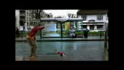 Dogtfoot.3gp