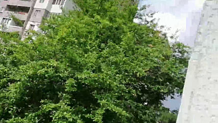 Vid_20200529_161655