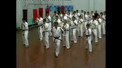 Karate Kyokushin Club Forta