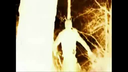 Twilight - Your Guardian Angel