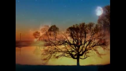 A Peaceful Land by Colin Mitchell