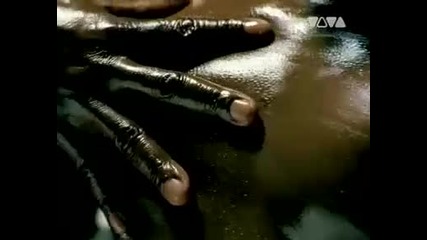 Music video, music clip and live music on Jukebo !