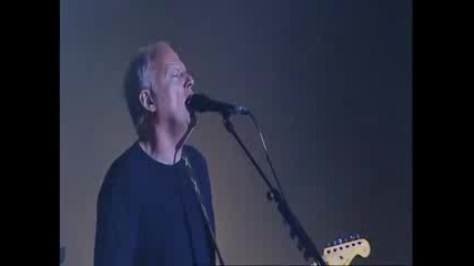 Live In Gdansk Comfortably Numb D. Gilmour