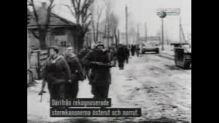 Die Waffen - Ss - Deutschland