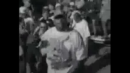 Young Soldierz - Alligator