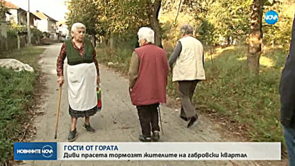 Новините на NOVA (01.10.2019 - централна емисия)