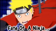 Fate Of A Ninja