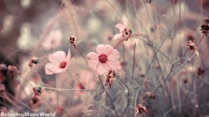 Melody Of Love - The Wedding Song by Zhou Zifeng - Guitar