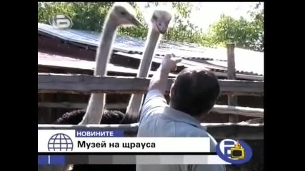 Gospodari na efira 13 - 10 - 2009 Tvrip.xvid част 1