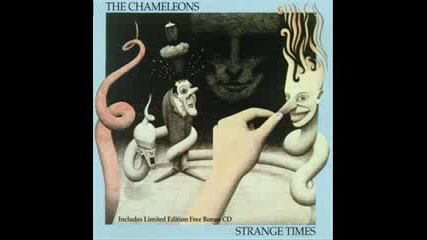 The Chameleons - Paradiso