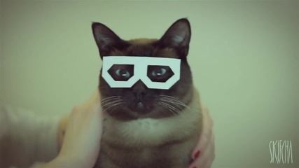 Dubstep Котарак