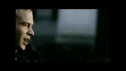 face2face - кошка