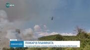 Голям пожар над село Илинденци, в гасенето се включиха два военни хеликоптера