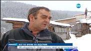 Вот по време на бедствие
