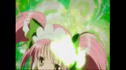 shug chara