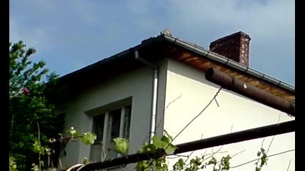 Котката се качи на къщата