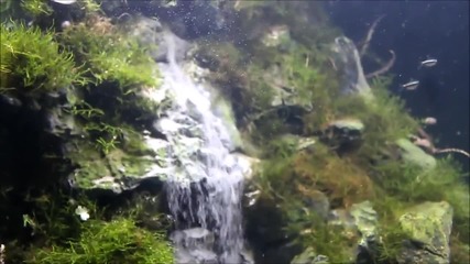 Подводен водопад в аквариум - истинска красота