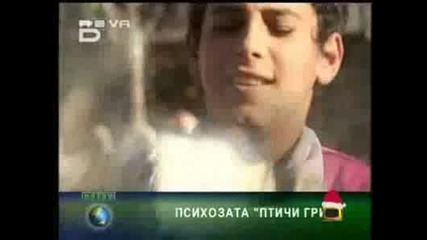 Роми Приказват Много Смешно.