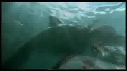 Mariah Carey ft. T.i. - Ill Be Lovin U Long Time 