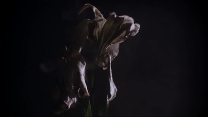 Lykke Li - No Rest For The Wicked ( Audio)