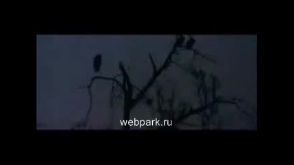 Доста Пийнали Животни!(смях)