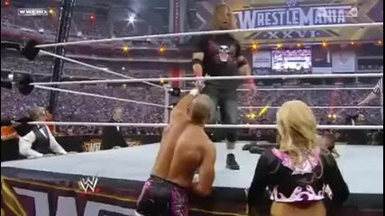 Wwe Wrestlemania 26 Vince Mcmahon Vs Bret Hart 2/2 (hq) 
