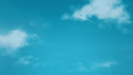 Scrat.no Time For Nuts.2006. Bdremux 1080p