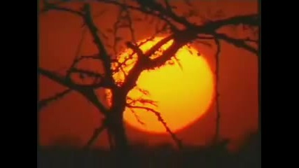 Gorgeous African Sunset
