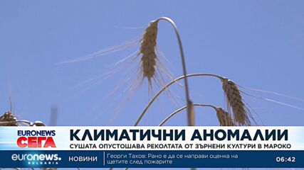 Президентът на Колумбия забрани бикоборството в страната