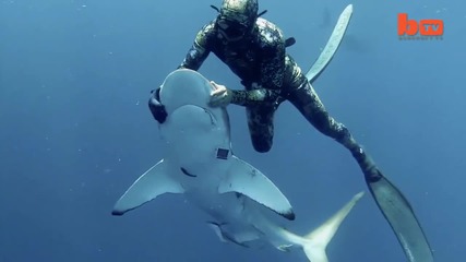 Водолаз рискува живота си, за да спаси акула