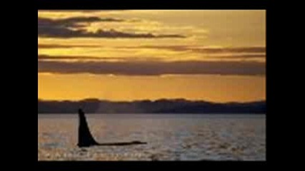Ummet Ozcan - Time Wave Zero (original Mix)