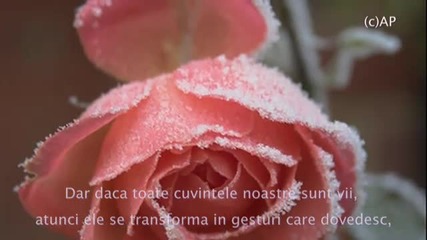Ernesto Cortazar - Neither Time Or Distance 
