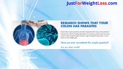 Premium Cleanse - Natural Lose Weight In A Week