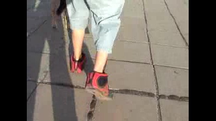 Mov008