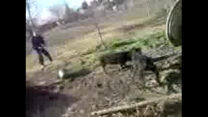 Рамбо Дави Прасе 3