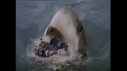 Shark Attack 3 Megalodon 