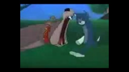 Tom & Djery (bg parody)