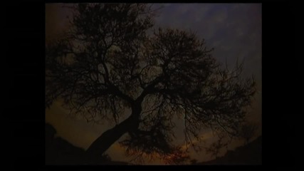 Emotional Chill Out Music - Ivana Van Der Veen