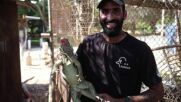 След атаката на „Хамас”: Спасиха животните от зоопарк в кибуца Беери (ВИДЕО)