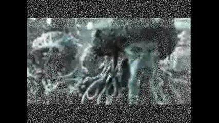 Карибски Пирати.wmv
