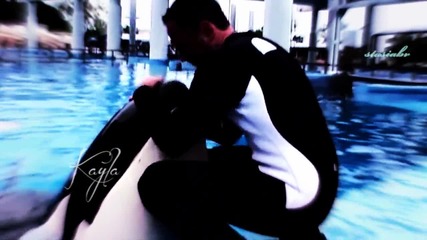 Killer whales and their trainers • mv •
