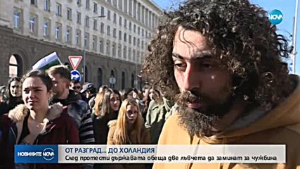 ЗАРАДИ ДВЕТЕ ЛЪВЧЕТА: Протест под прозорците на властта