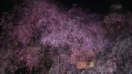 Wonderful Chill Out Music - Kyoto, Japan [hd]