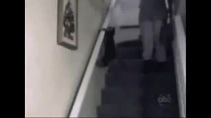 Fall Compilation