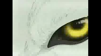 Wolfs Rain Opening