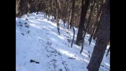 Downhill - трасе в Троян само за сняг 